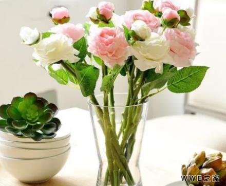 怎么做能使鲜花开放的时间更长？