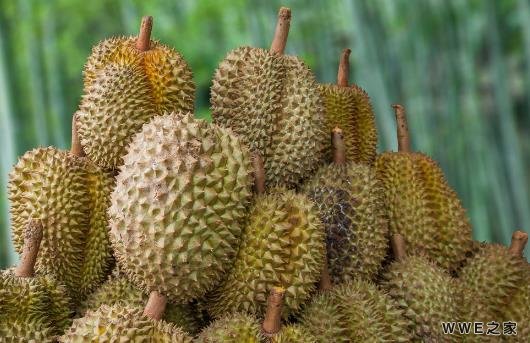 榴莲为什么是臭的