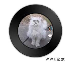 <b>《波斯猫》比《The mustache man》节奏更加千回百折</b>