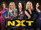 WWE2014年4月3日_NXT最新赛事