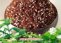 九里香怎么配土 种植土壤配制方法