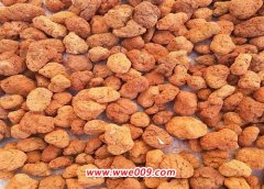 火烧土可以直接种花吗