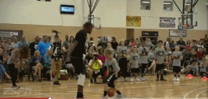 GIF 4.1MB