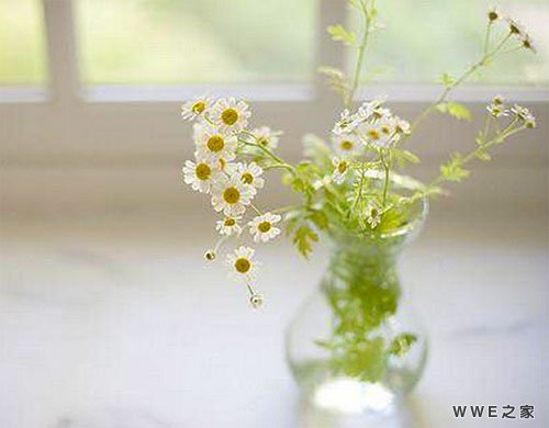 女生带有兰字优雅可爱的网名