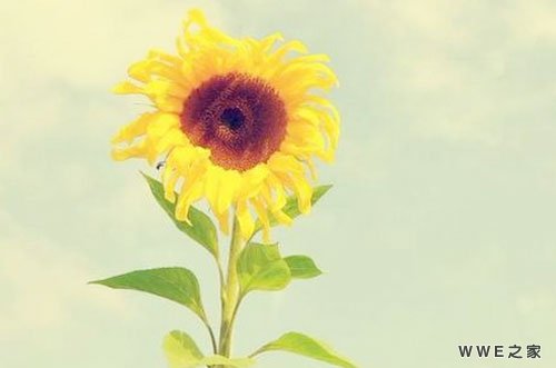 带静字的女生网名诗意_带静字的可爱网名