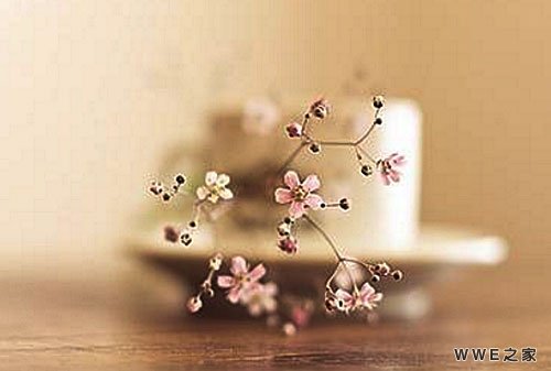 非主流带乐字的男生qq网名