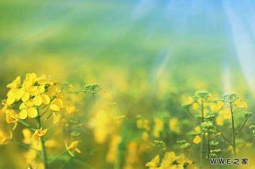 带勇字好听的QQ网名