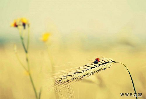 女生带婕字的非主流QQ网名