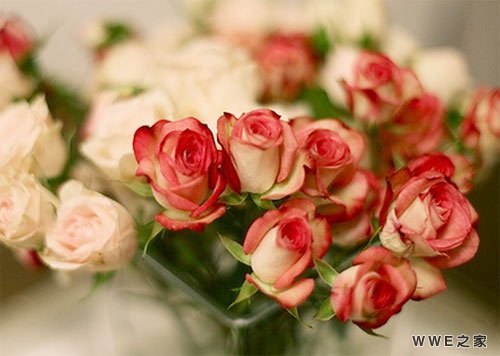 最新唯美伤感的男孩女孩古风网名大全