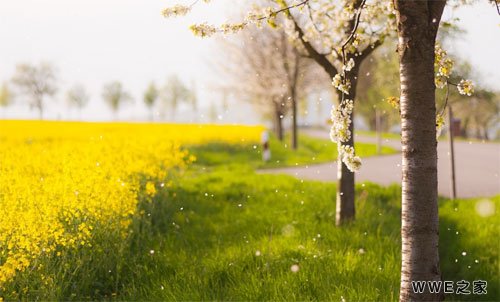 带天字的2字网名_带天字的男生qq网名