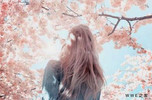 带有巴黎或樱花两字的情侣伤感网名