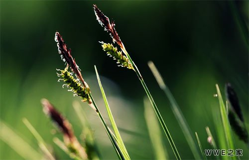 带有武字的男生霸气qq网名