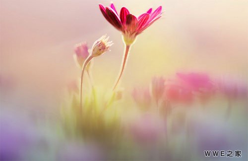 带有新字的男生非网名_带新字的非主流qq昵称