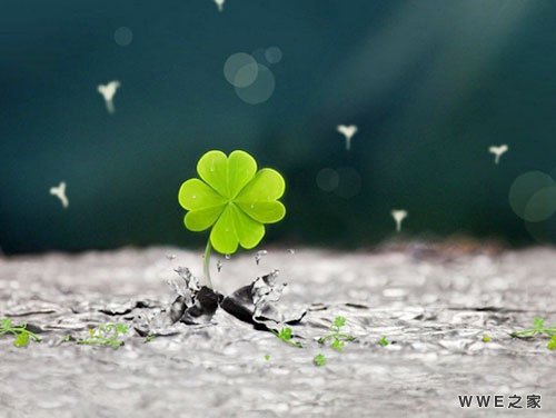 带霓的女生qq网名