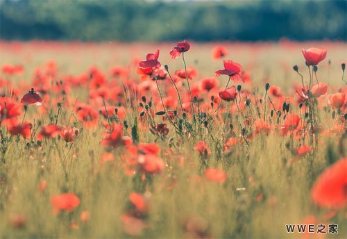 带山字的男生qq网名
