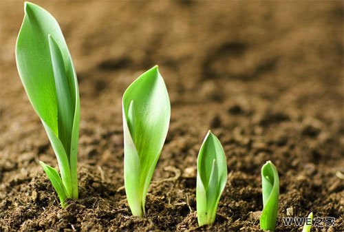 带宁字的qq网名_女生带有宁字的唯美网名