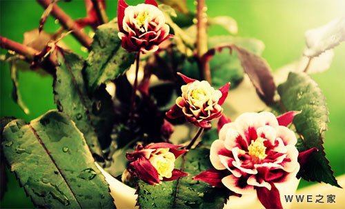 含有婵字的网名_女生带婵字的qq网名霸气