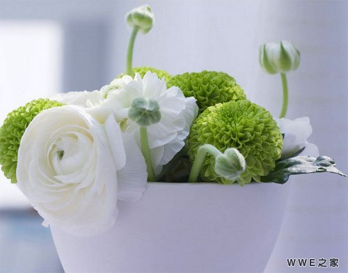 女生带蕊字的非主流有符号QQ网名