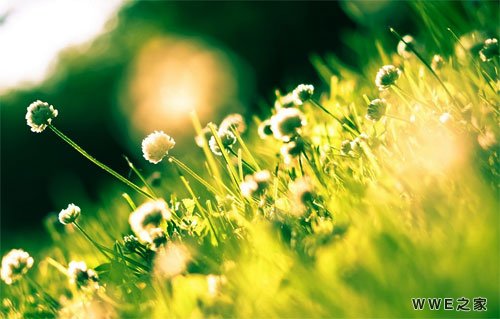 带有祥字的帅气网名_带祥字的男生QQ网名