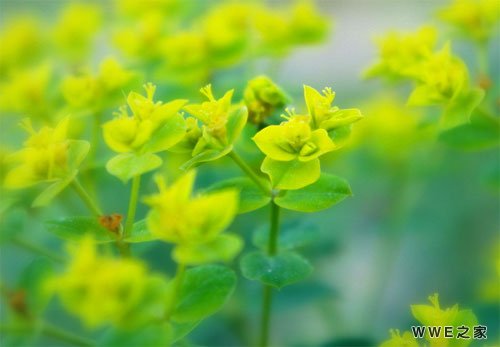 带有辉字的男生霸气非主流qq网名