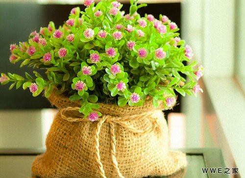 女生带梨花的优雅有意境的网名 带梨花的唯美情侣qq网名