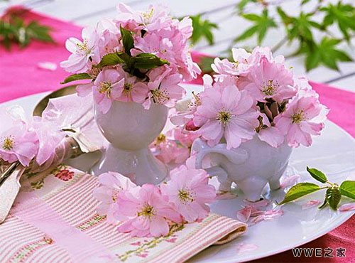 带樱花两字的女生唯美诗意qq网名