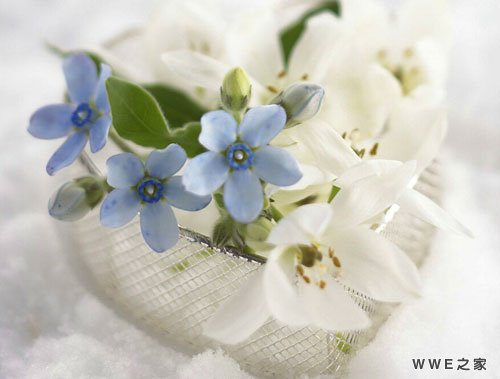 七个字唯美有诗意的小清新qq网名