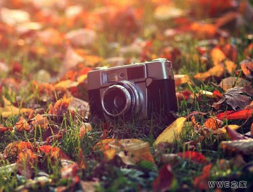 带菇凉霸气的可爱女生网名