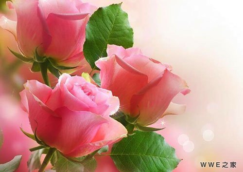 带嫣然两字的唯美好听qq网名