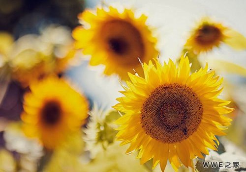 带哲字的男生非主流qq网名