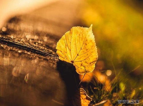 带初字的唯美好听qq网名