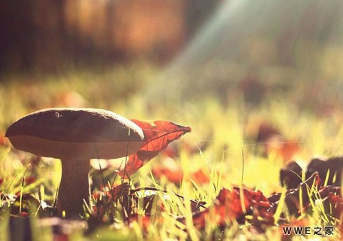 带沐字的女生唯美qq网名