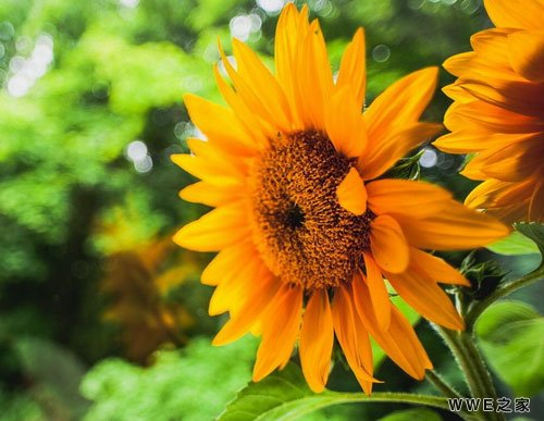 带有少年的好听qq网名