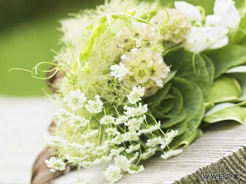 非主流繁体字女生qq长网名