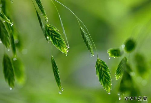 带忆字的两个字唯美qq网名