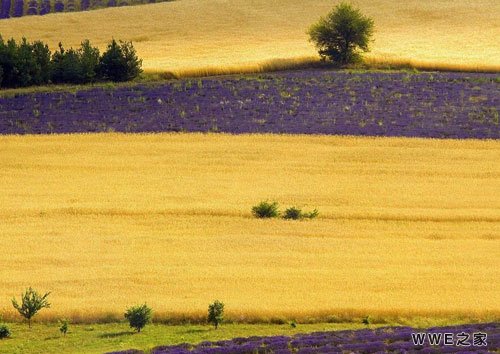 霸气又超拽的男生非主流qq网名