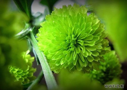 带有陌字的唯美四字古风qq网名