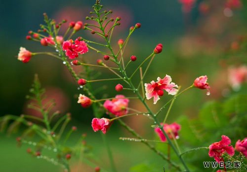 带林字的有深意的男生qq网名