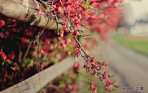 带有泽字的4个字唯美男生qq网名