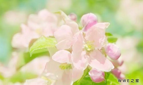 带浩字霸气的四字男生qq网名