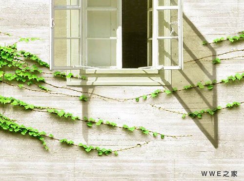 带有朗字的男生好听qq网名