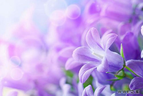 带淑字的女生文艺好听qq个性网名