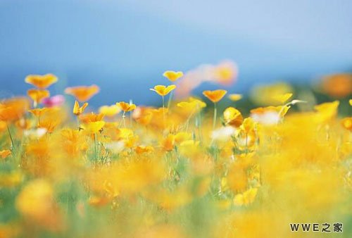 带有全字的男生好听qq个性网名