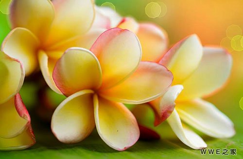 女生带筠字的可爱好听qq网名