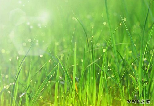 带有橙字的古风四字qq网名