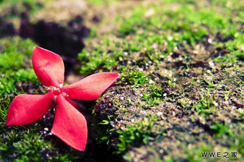 女生带有琪字的非主流qq情侣网名