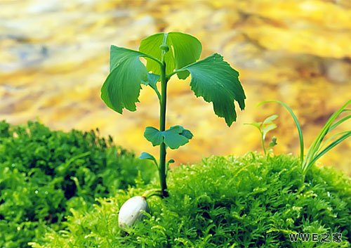 非主流带符号的男生三个字游戏网名