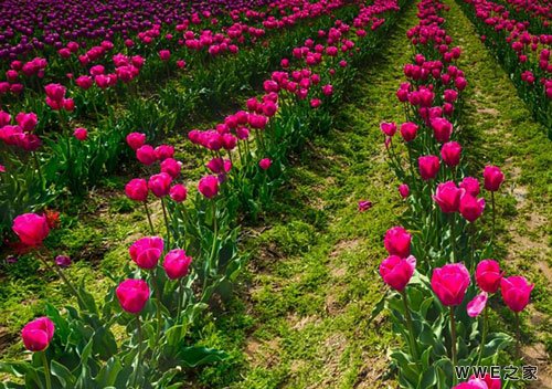 带有爽字的女生非主流qq个性网名