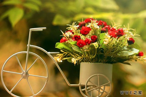 带有昭字的女生qq个性网名