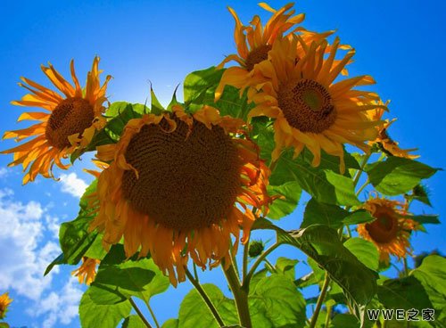 男生带有家字的唯美qq网名